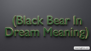 Black Bear In Dream Meaning