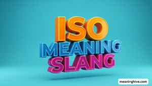 ISO Meaning Slang