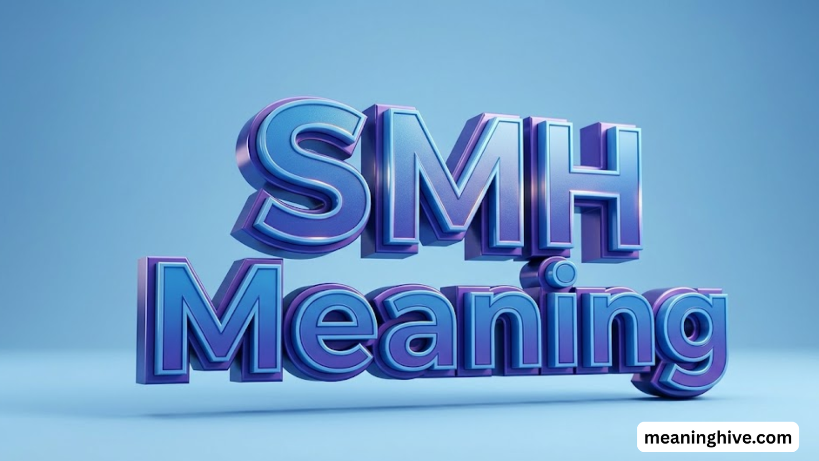 SMH Meaning