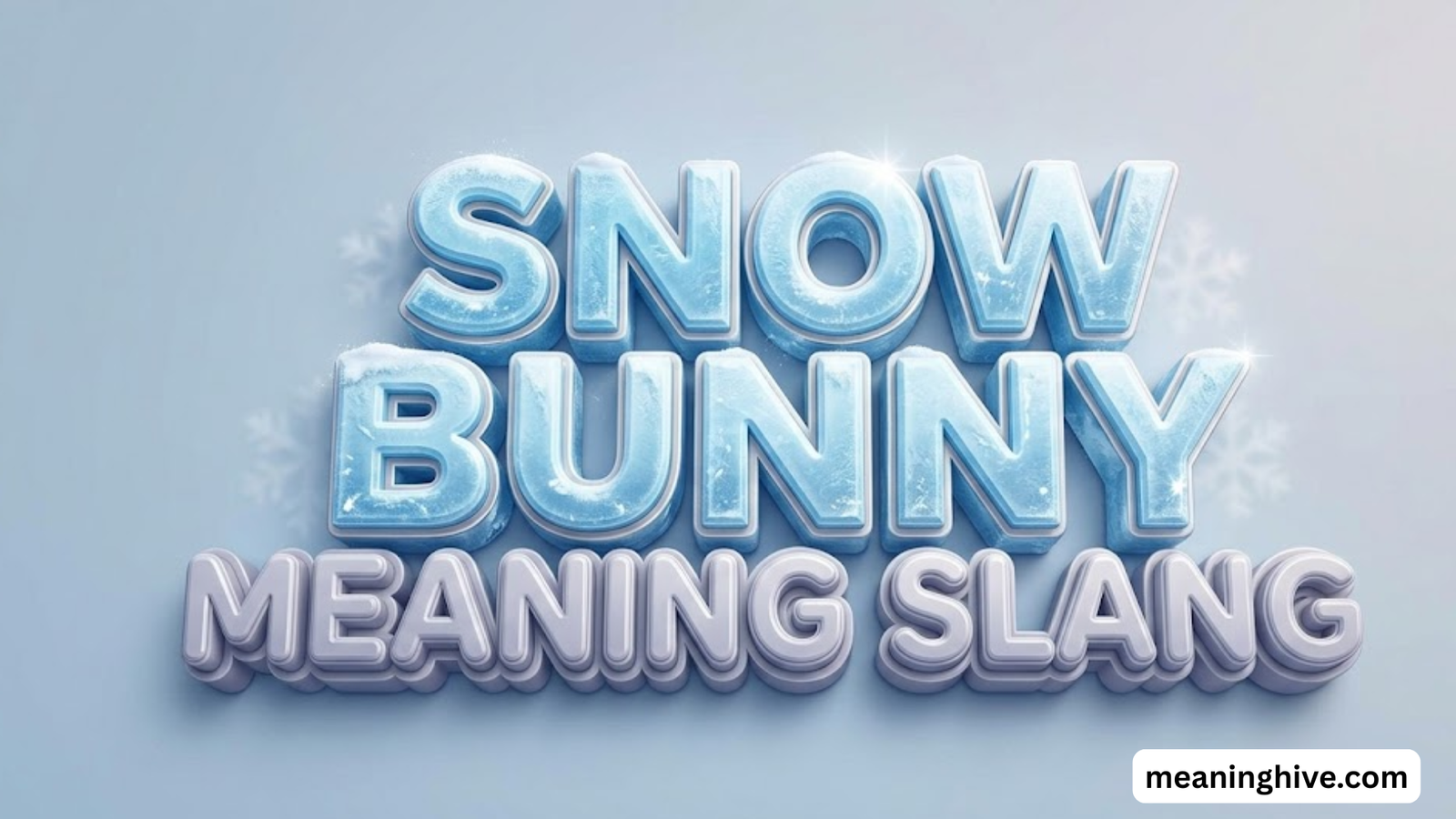 Snow Bunny Meaning Slang