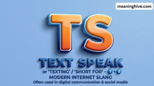 TS Meaning in Text