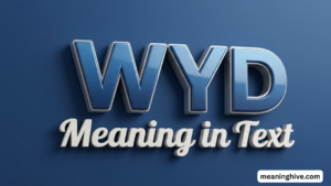 WYD Meaning in Text