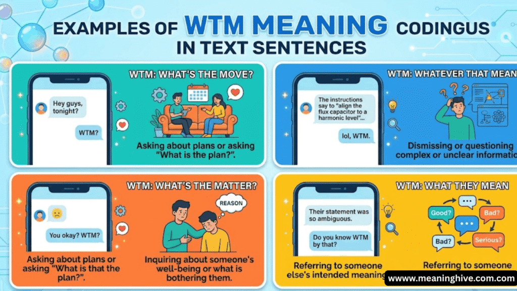 Examples of WTM Meaning in Text in Sentences