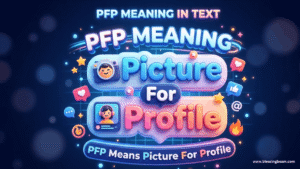 PFP Meaning in Text