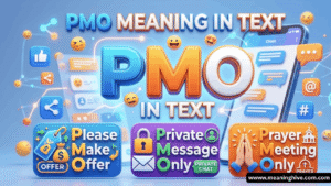 PMO Meaning in Text