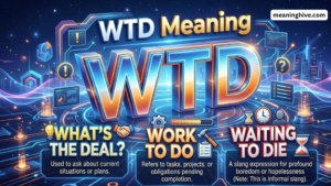WTD Meaning